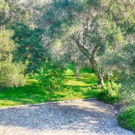Villa - 3 Minutes From The With Heated Eco-pool And Sunset View